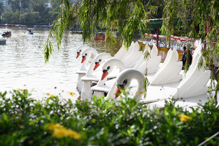 Others 4, Amian, Baguio City