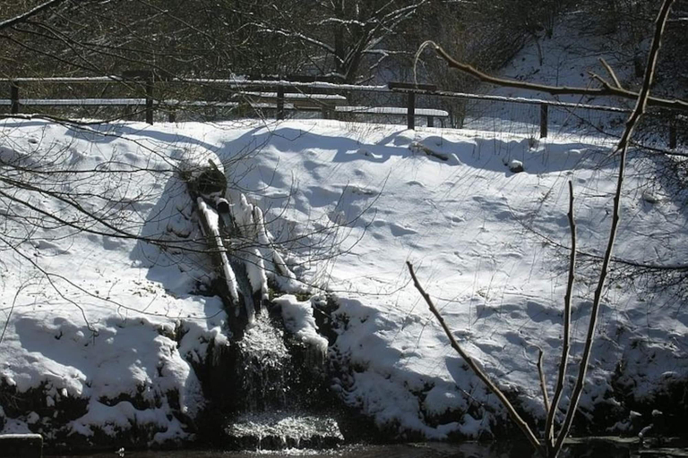 Others 5, Feriendorf Reinskopf in der Eifel, Eifelkreis Bitburg-Prüm