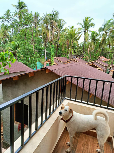 Others 3, bodhi homes , North Goa