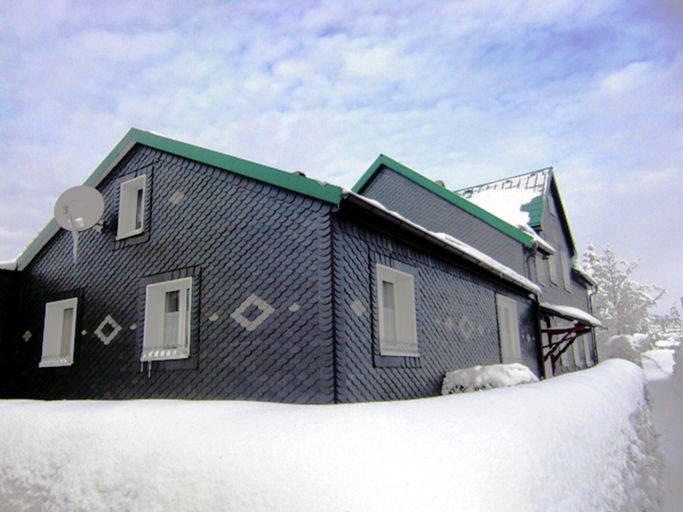 Exterior 5, Holiday Home in Neustadt am Rennsteig With Pond, Ilm-Kreis