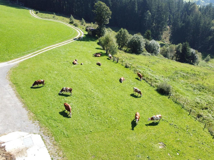 Garden 2, Holiday Flat with Pool Access, Zell am See