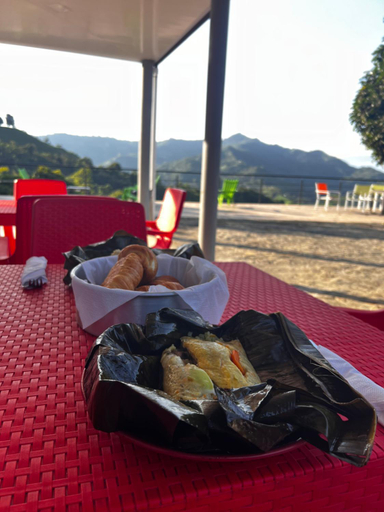 Food & Drinks