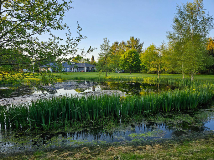Others 5, Guesthouse Tradsborgvej, Esbjerg