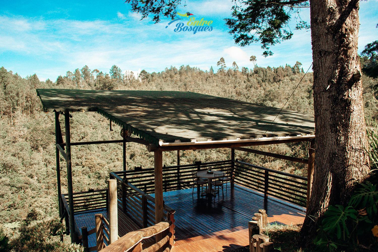 5, Entrebosques, Guarne