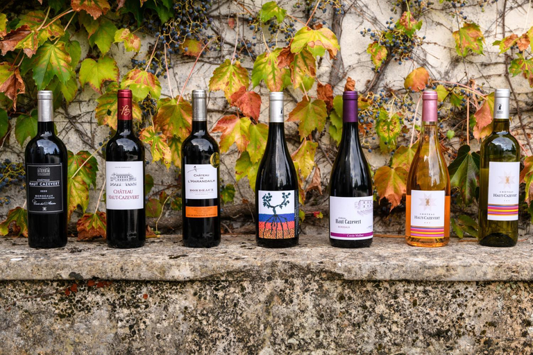 Others 5, Chateau Haut Cazevert, Gironde
