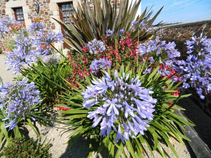 Others 4, La vieux ville, Côtes-d'Armor