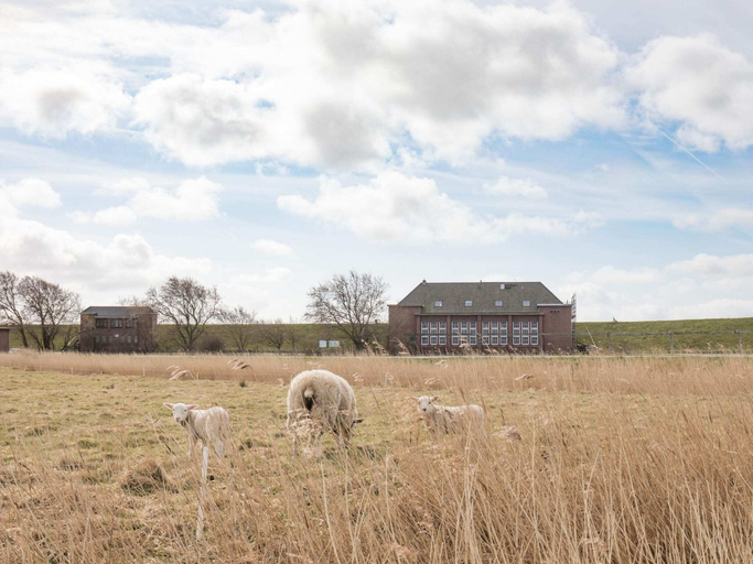 Exterior 3, Exklusive Wohnung auf dem Deich an der Nordsee, Nordfriesland