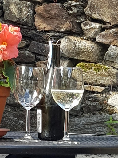 Others 4, Pink Granite Garden of Ireland