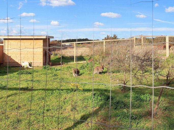 View from property 4, Bright Cabins with Terrace - By Traum Ferienwohnungen, Hjørring