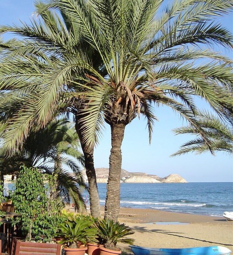 Property grounds 5, La Diosa Gaia in San Juan de los Terreros, Almería
