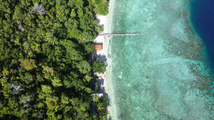 Others 3, Lumba Lumba Homestay, Raja Ampat