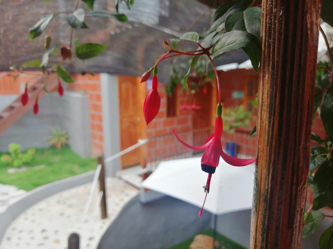 Exterior & Views 5, HOSTAL FAMAR, Angostura