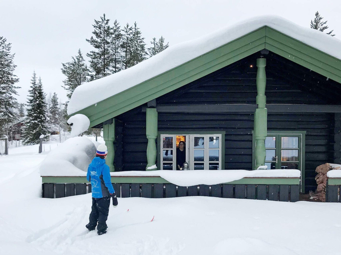 Exterior 3, 5 Star Holiday Home in Hemsedal, Gol