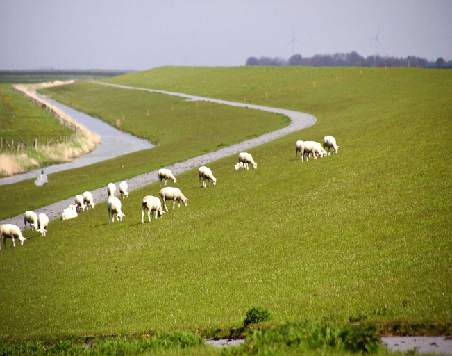 View from property 5, Ferienhaus Albatros in Nessmersiel, Aurich