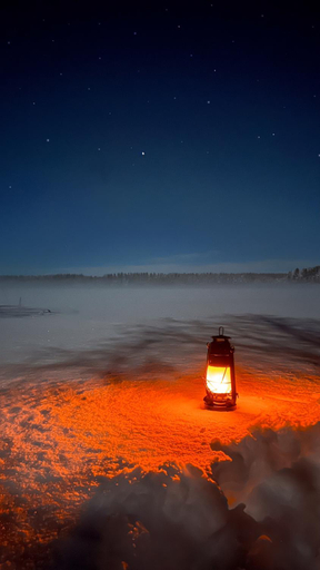 Others 5, Kotatuli Forest Lodge, Lapland