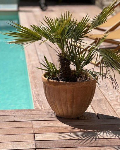 Sport & Beauty 5, LE DOMAINE DE FERRAT, Charente-Maritime