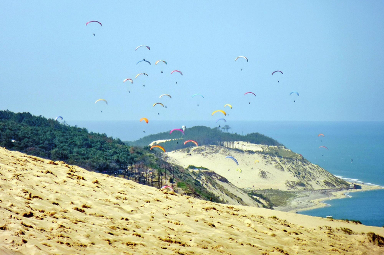 View from property 5, Holiday Home With Indoor Pool, Le Porge, Gironde