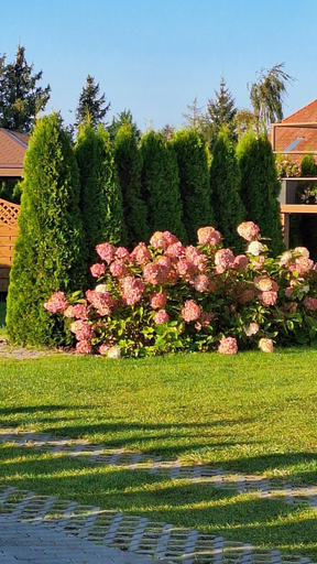 Others 5, Apartment in Stepnica Near Szczecin Lagoon, Goleniów