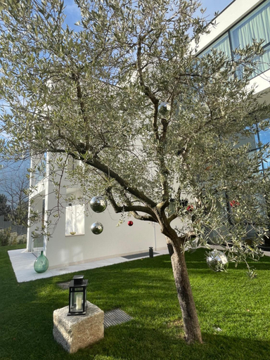 Others 2, Midum Apartments con giardino, Trento