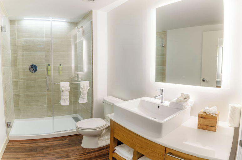 Bathroom 4, Element by Marriott Savannah Midtown, Chatham