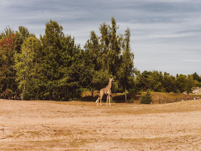 View from property 4, Villa in Someren Near Somerense Heide, Someren