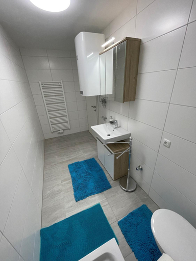 Bathroom 5, Wohnungen Bachhaus, Linz Land