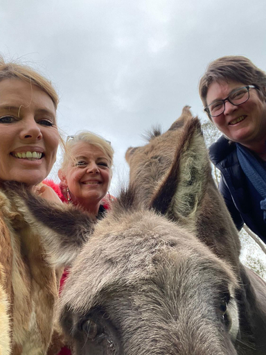 Others 5, Avoca Park Equestrian Farmstay, Yarra Ranges - Seville
