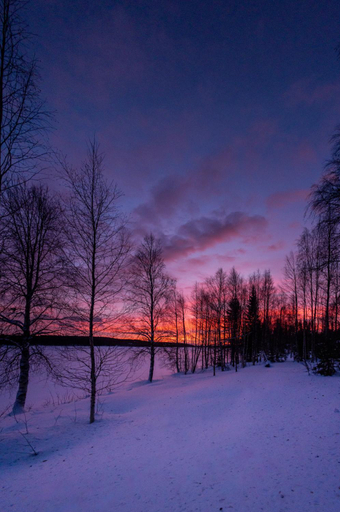 Others 4, Kotatuli Forest Lodge, Lapland