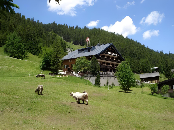 Others 5, Hotel Alpenrose, Bludenz