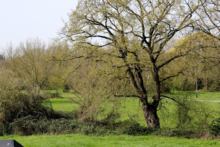Others 2, Chbres d HOTES Res Pte La Verdure, Sarthe