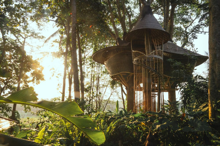Scenery 1