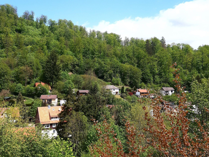 View from property 3, Ferienhaus im Harz mit Wanderwegen, Osterode am Harz