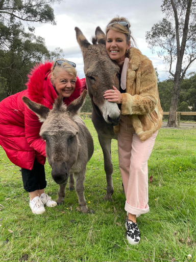 Others 3, Avoca Park Equestrian Farmstay, Yarra Ranges - Seville