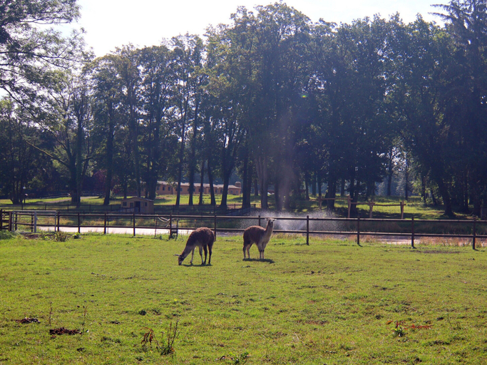 View from property 5, Ferienhaus Oliver im Wendorf Bernstein Resort, Ludwigslust-Parchim