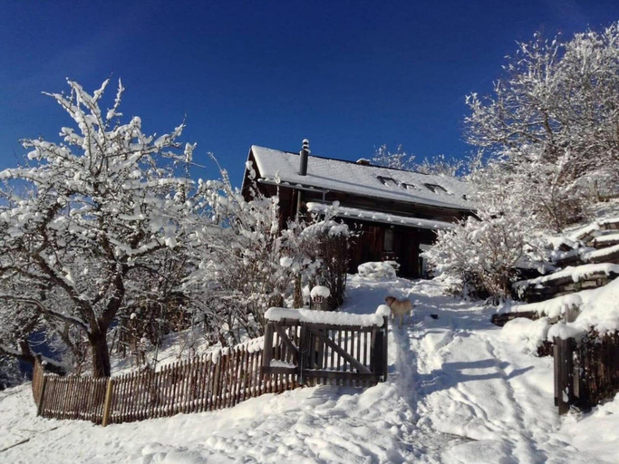 Exterior & Views 2, Chalet in Rougemont Near Ski Slopes, Pays-d'Enhaut