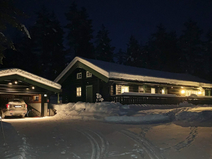 Exterior 2, 5 Star Holiday Home in Hemsedal, Gol