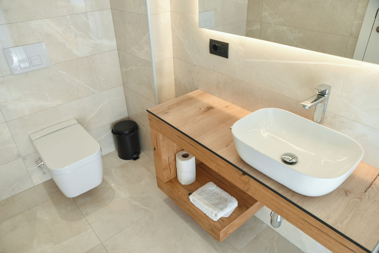 Bathroom 5, Hotel Albulena, Kurbinit