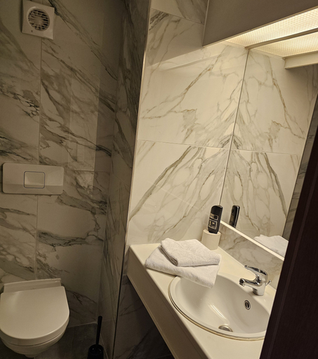 Bathroom 5, Hotel Shawi, Darmstadt-Dieburg