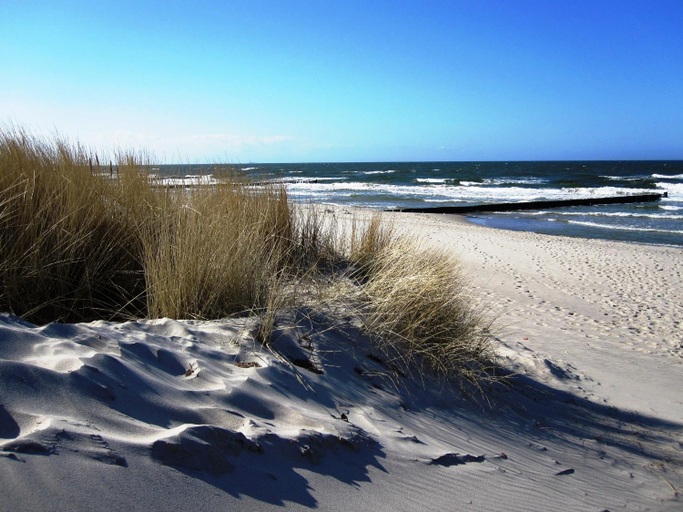 Others 2, Residenz Lausitz - Apartments fur Urlaub mit Hund, Rostock