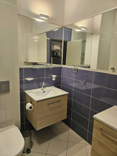Bathroom 3, Kristal Paris Resort, Novalja