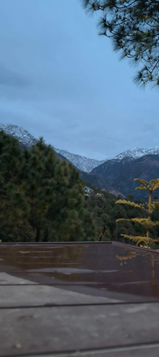 Others 4, Shephard cheminee, Kangra