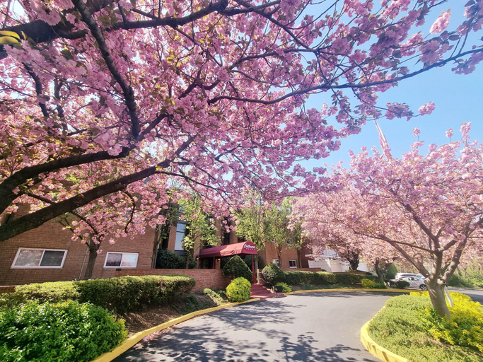 Room 5, Modern 1BR in Elkins Park, Montgomery