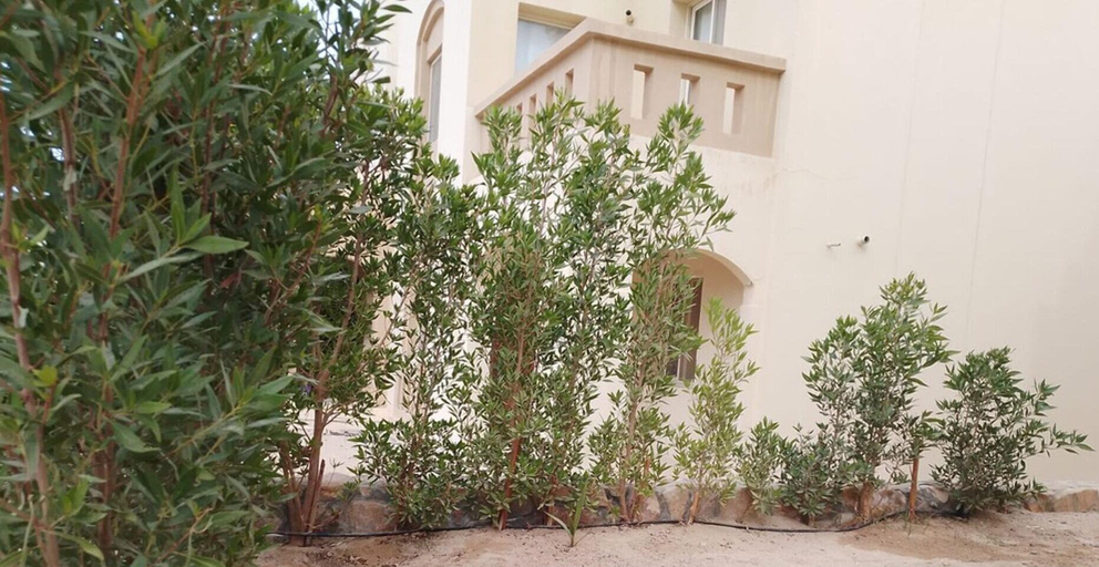 Property grounds 5, Remarkable 2-bed Apartment in Makadi Heights, Safaja