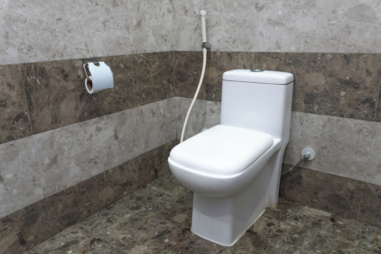 Bathroom 5, Dyar Sultana, Al Madinah Al Munawwarah