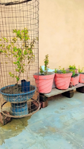 Others 5, Shree Hatkeshwar Home Stay Ujjain, Ujjain