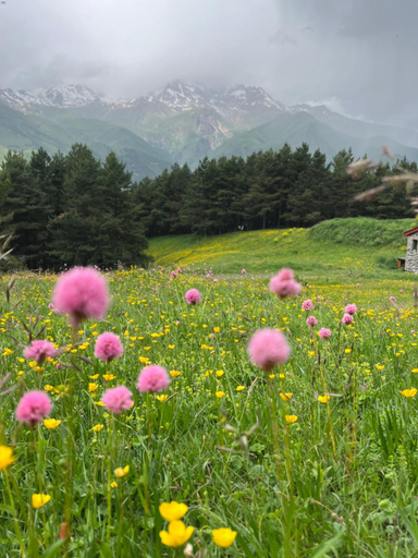Others 5, Elia Hut Kazbegi, Kazbegi