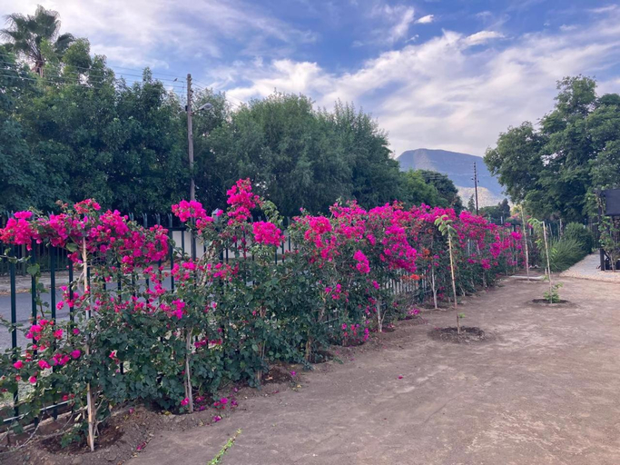 Others 4, The Townhouse, Graaff Reinet, Cacadu