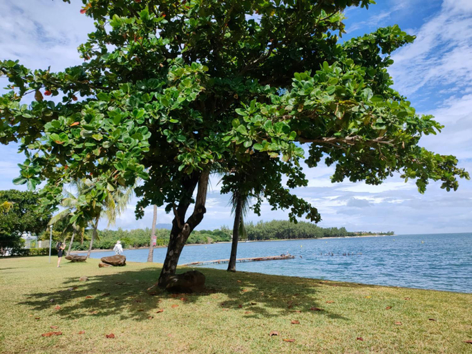 Others 5, La Mivoie Beachfront, Black River