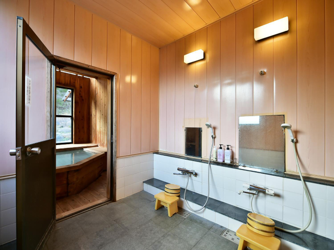 Bathroom 4, 白濁温泉の宿 アルプスの癒し アルプホルン Alphorn, Matsumoto