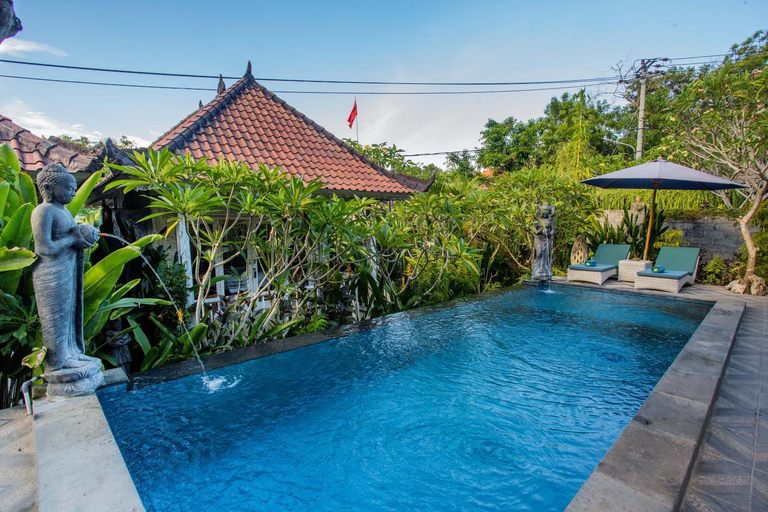 Swimming Pool 14